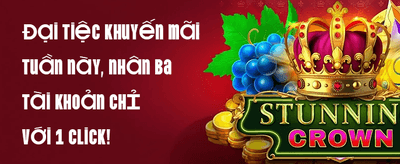 Ưu Đãi Giới Thiệu promotion